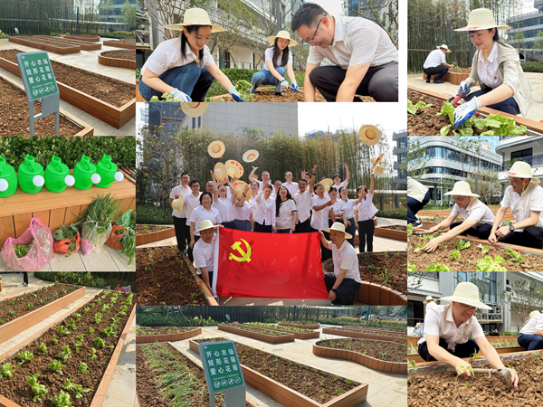 六安公司党总支开展“躬耕实践强党性，，，，，，携手共建新田园”主题党日活动