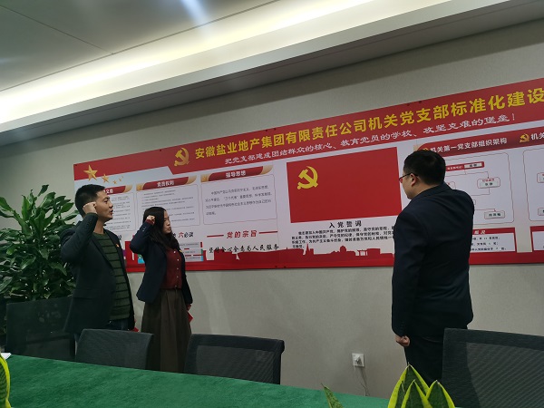 安徽bevictor伟德官网地产集团机关第一党支部开展“佩党徽、诵誓词、赠党章、上党课”党员教育活动
