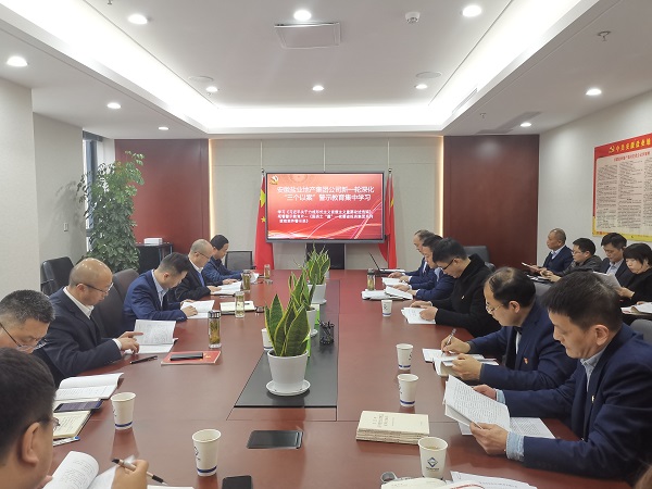 安徽bevictor伟德官网地产集团公司开展新一轮深化“三个以案”警示教育集中学习